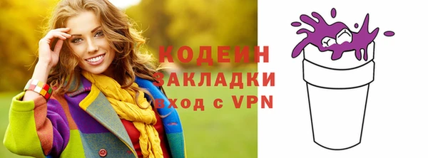 индика Богородск