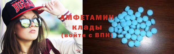 гидра Белокуриха