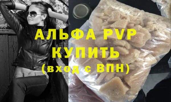 индика Богородск