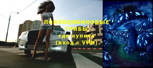 дурь Белоозёрский