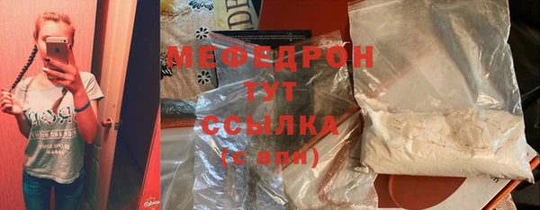 индика Богородск