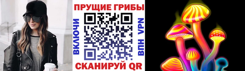 Псилоцибиновые грибы Cubensis  магазин продажи наркотиков  Очёр 